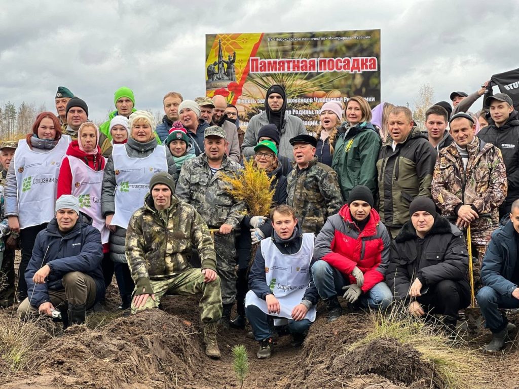Выпускник принял участие мероприятии по посадке леса в Заволжье
